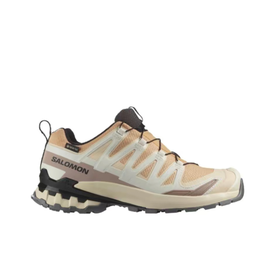 살로몬 XA 프로 3D V9 GTX: 여성용 로우탑 러 - Salomon Shoes Xa Pro 3D 리뷰 및 가격